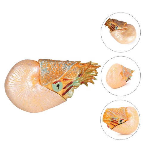 Simulation marine animal - simulation,