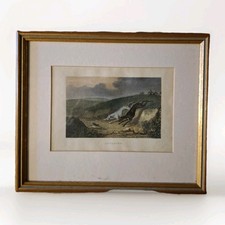 Antique Small Coloured Etching