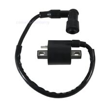 Ignition Coil For Arctic Cat