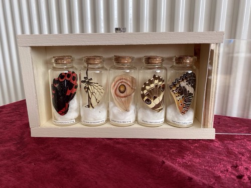 Clearance sale stunning - -,