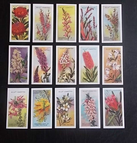 Cigarette cards - cigarette, 15