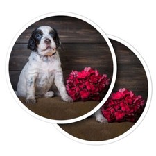 2x Vinyl Stickers English