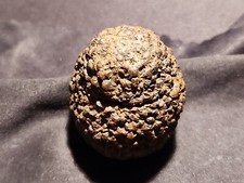 Lovely iron pyrite egg shape