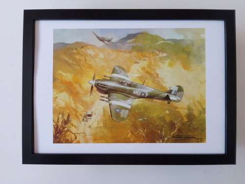 Michael turner aircraft - michael, print