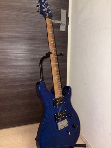 Paul reed smith prs - se, custom