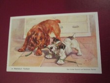 Postcard - A Friendly Tussle