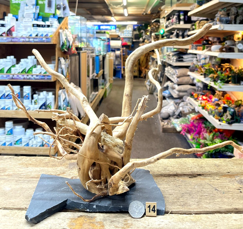 Red moor wood root slate - wood,