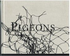 Pigeons Stephen Gill - Stephen