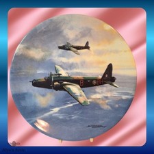 Coalport 'Reach for the Sky