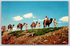 Postcard Florida Lake Wales