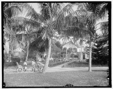 Photo:West Palm Beach Fla