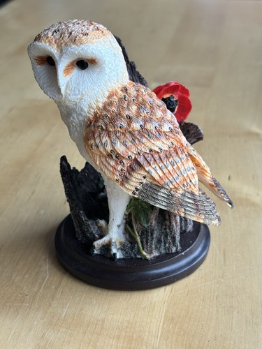 Oiseaux the barn owl country - barn,