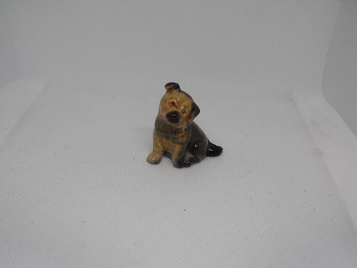 Wade whimsies mongrel puppy - wade,