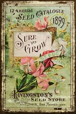 Livingstone Seed Catalogue Advert, Aged Look Vintage Retro Style Metal Sign
