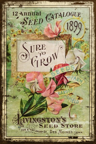 Livingstone seed catalogue - livingstone,