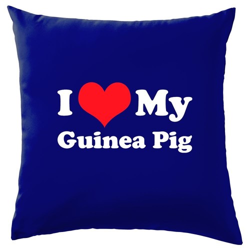 Love guinea pig cushion - i,
