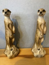 2x Meerkats