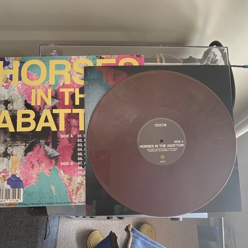 Horses in the abattoir - horses,