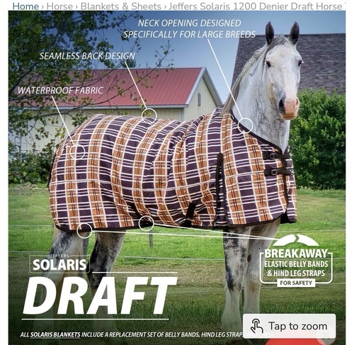 Draft size winter turnout - winter,