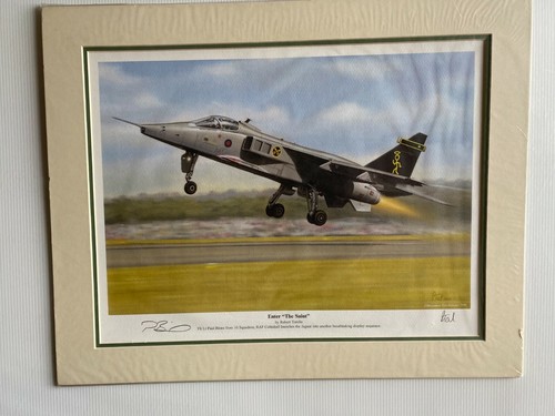Squadron aviation art print - squadron,