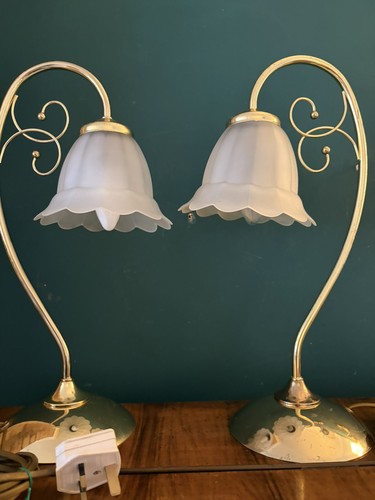 Beautiful pair swan neck - swan,