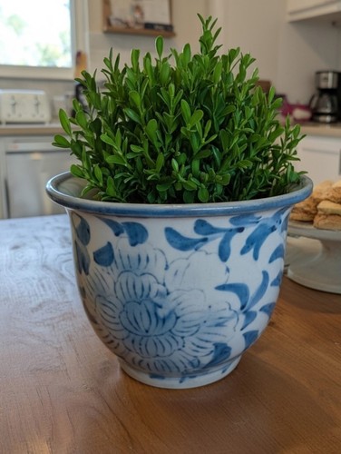Vintage chinese blue and white - blue,