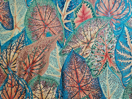 Free spirit kaffe fassett - free,