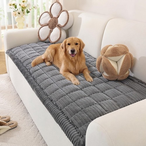 Durable pet friendly sofa - durable,