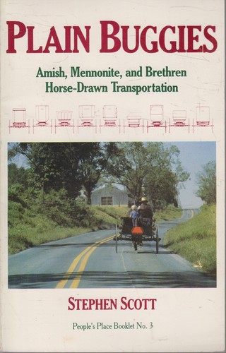 Plain buggies amish - plain, buggies: