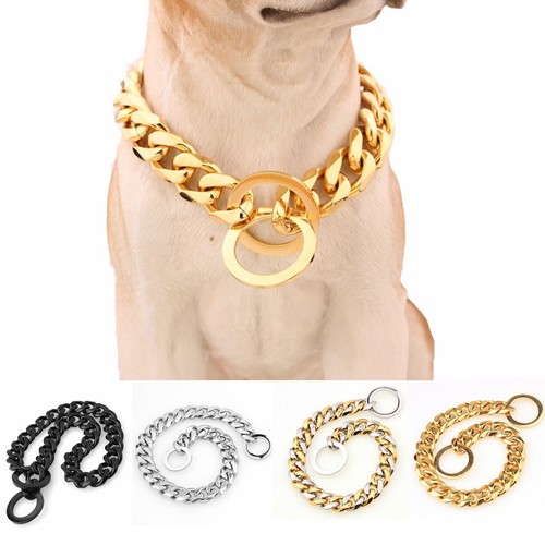 Heavy duty gold dog - dog, collar