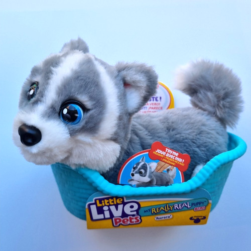 Little live pets - little,