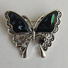 Beautiful Silvertone And