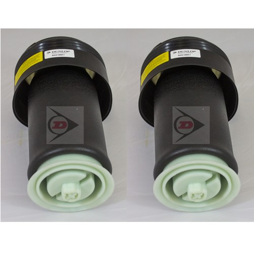 Genuine dunlop rear air - dunlop,