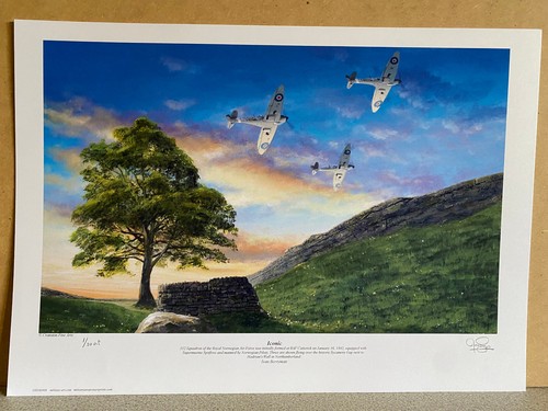 No1 artist proof sycamore - artist, gap