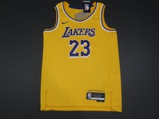 Lebron James #23 Los Angeles