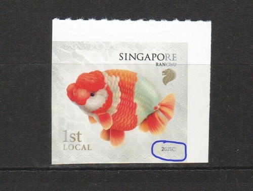 Singapore 2022 goldfish 1st - singapore,