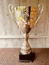 🏆 Big Silver Trophy 20”