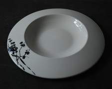 Steelite  Distinction Japonica