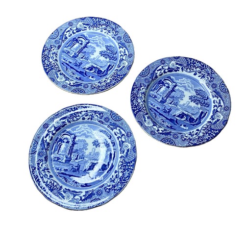 Spode italian salad - spode, set