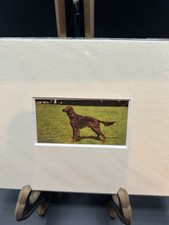 Vintage Hornimans Tea 1940’s