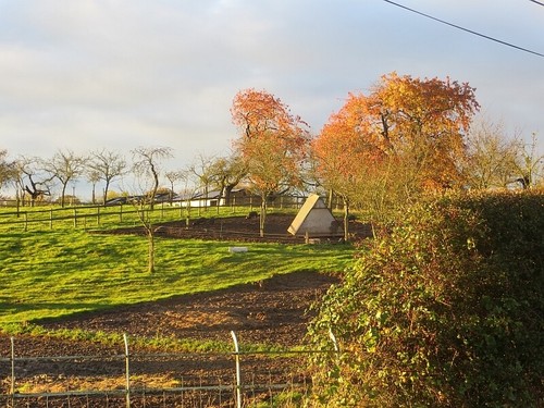 Photo 6x4 pig - photo, lindridge