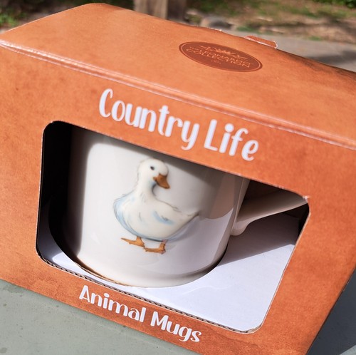 China mug leonardo duck - china,