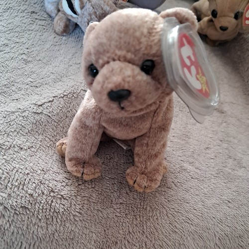 Original beanie baby pecan - original,