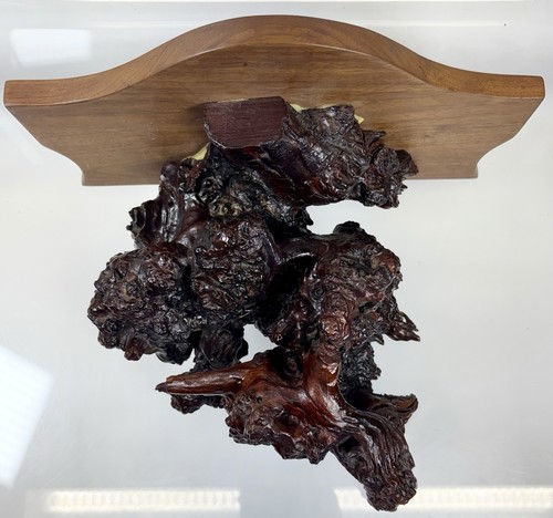 Live edge root wood - root, shelf