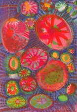 Lorraine Bampton (1946-2019) -