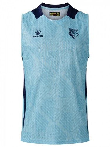 Watford training vest - training,