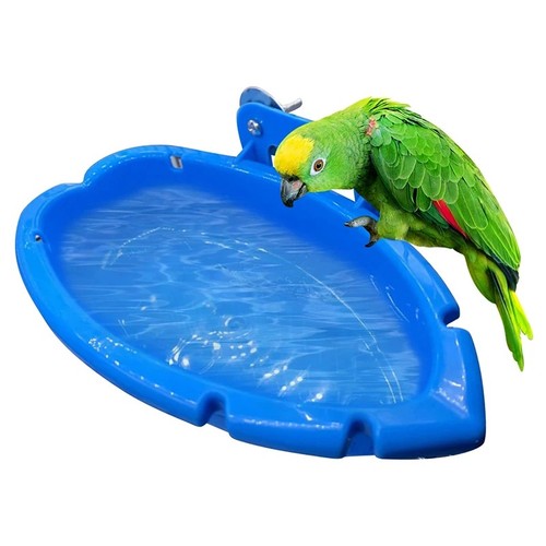 Blue bird bath tray - bird,