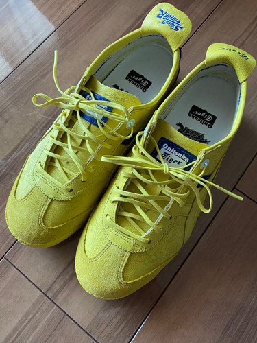 Onitsuka tiger men street - men,