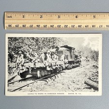 Antique Albertype Postcard