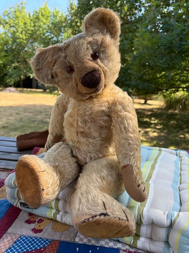 Chad valley 1930s - bear, with